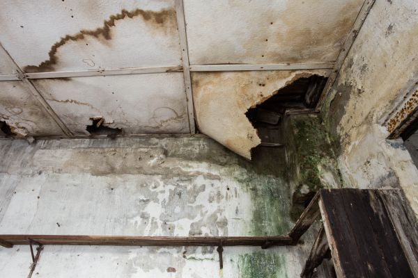 Water Damage Service in Newport Beach