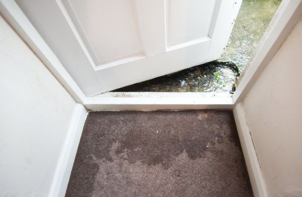Cost of Wet Carpet Restoration in Newport Beach