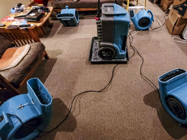 Flood Damage Recovery in Newport Beach