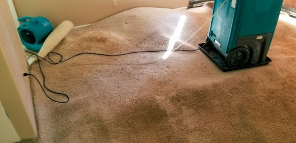Cost of Carpet Water Extraction in Newport Beach