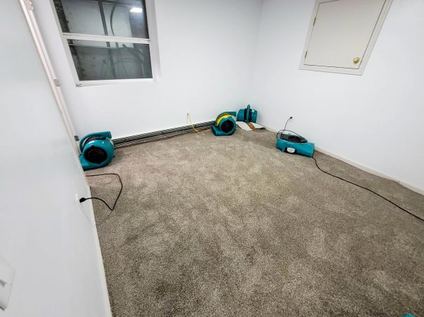 Flood Restoration Service in Newport Beach