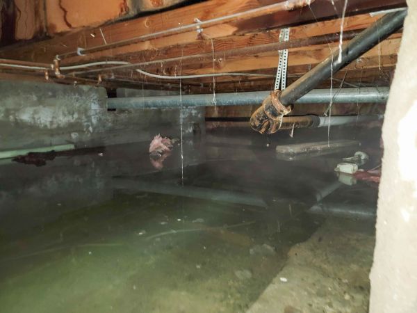 Crawl Space Drying in Newport Beach