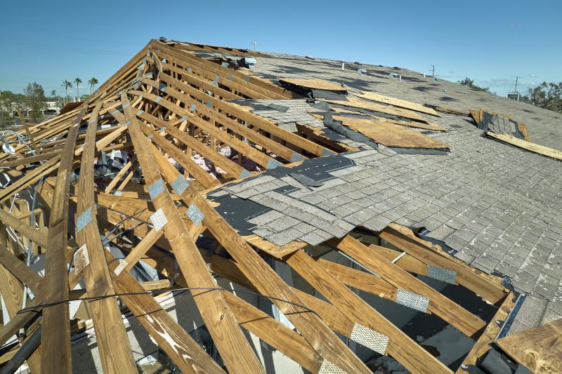 Roof Damage Solutions